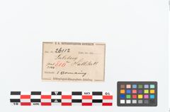 Etikett zu Bronzearmreif (NHMW-PRAE-026112)
